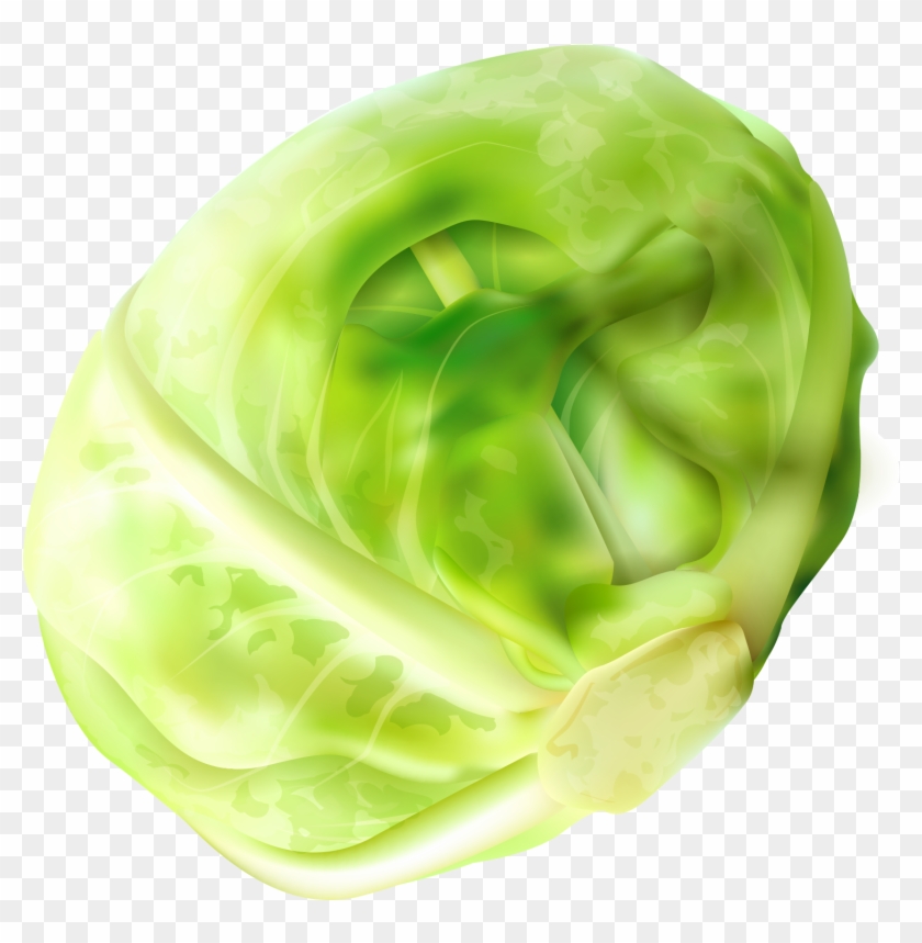 Download Brussels Sprout, HD Png Download 2048x2048