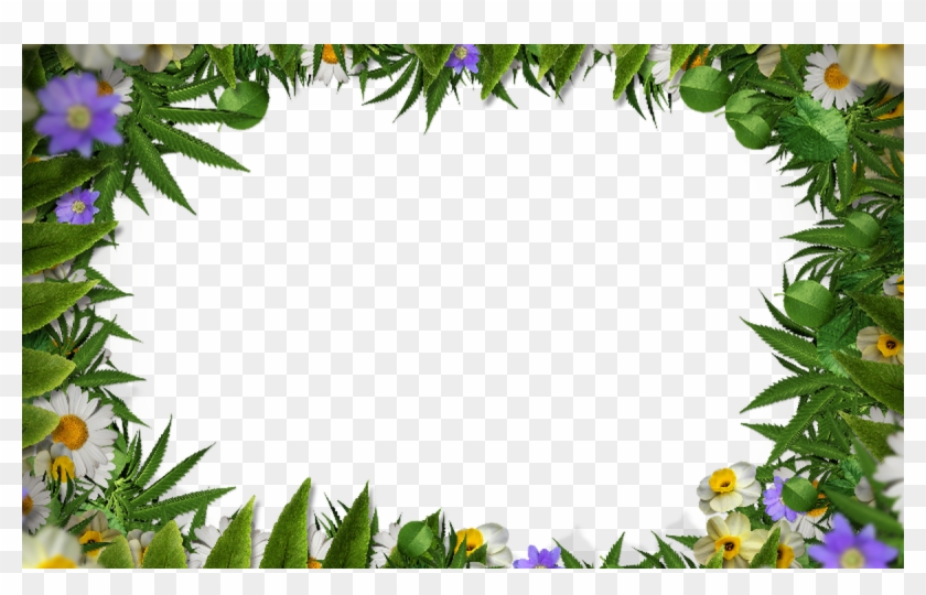 Flower Frame Border Png With Green Leaves Background - Flower Frame  Background Transparent, Png Download - 1200x715(#154642) - PngFind