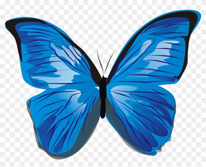Blue Butterflies Png - Blue Butterfly Clipart Png, Transparent Png -  1022x781(#156774) - PngFind