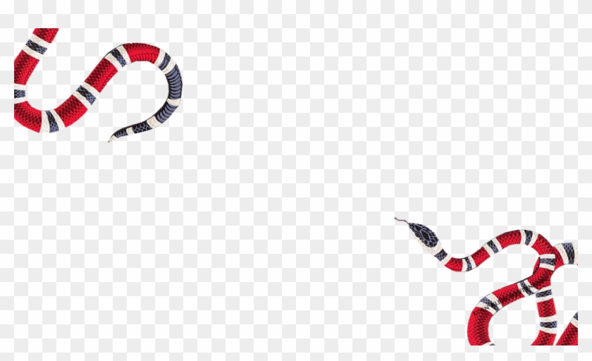 gucci snake logo png