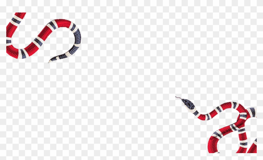 gucci snake logo