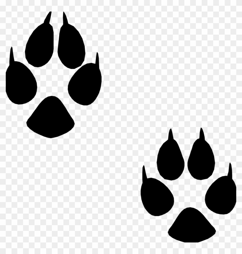 Download Footprints For Free Download On Mbtskoudsalg Animal Track Png Transparent Png 1002x1002 1504149 Pngfind