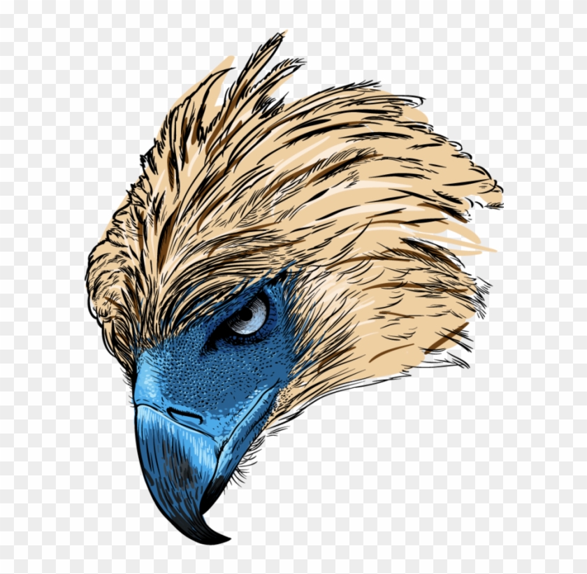 Philippine Eagle Logo Png Philippine Eagle Head Logo Transparent Png 700x868 Pngfind Philippine Eagle Logo Png Philippine Eagle Head Logo Transparent Png 700x868 Pngfind