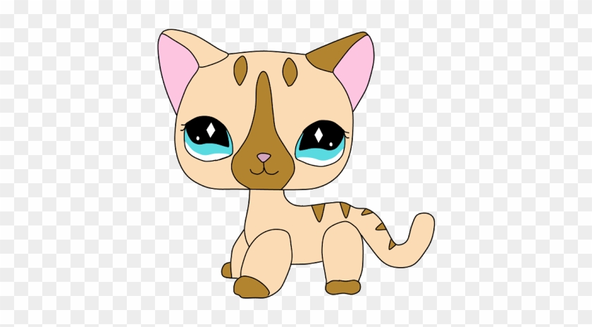 lps png shorthair cat