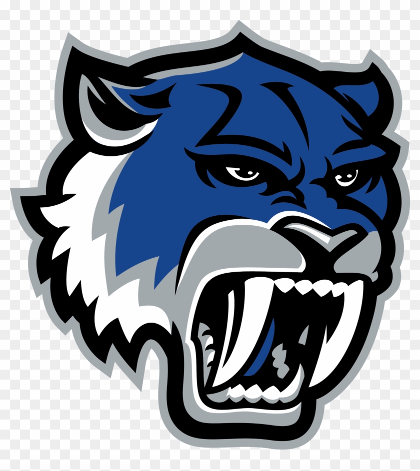 Comets Football Logo