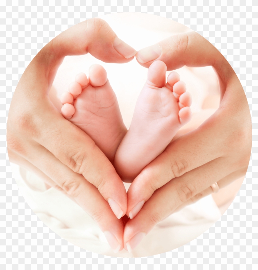 Basic Family Course Baby Hand Hd Png Download 1000x1000 1528040 Pngfind