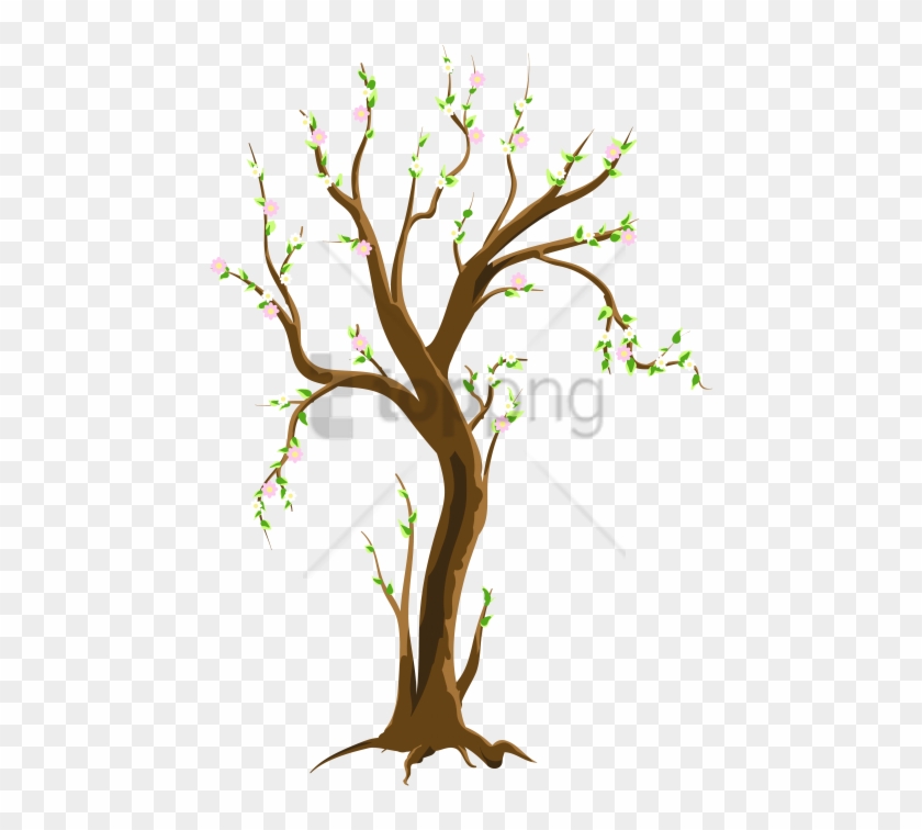 Free Png Spring Tree Png Png Image With Transparent - Tree In Spring ...