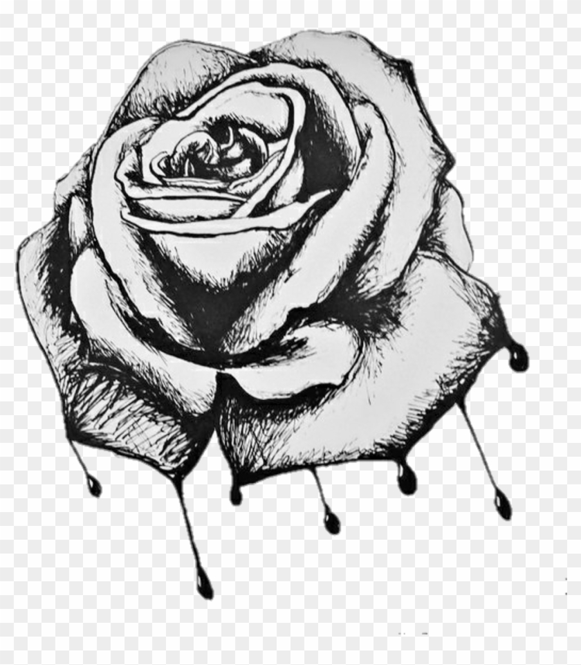 Meaning of Rose Tattoo  Black Blue Purple and Other Roses Tattoos   HubPages