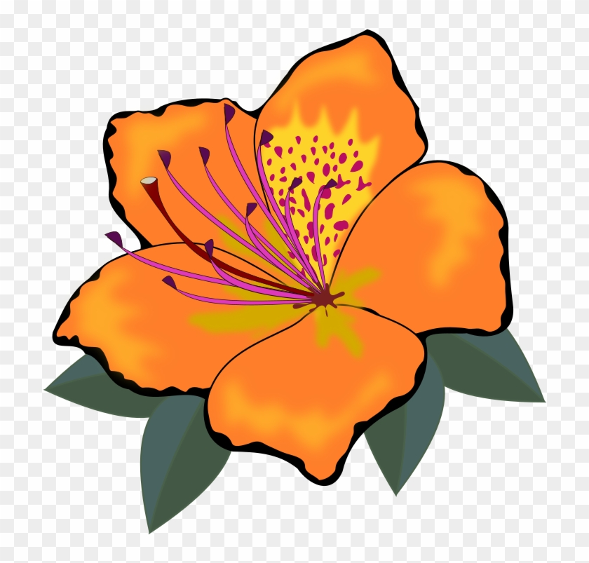 Clip Art, Flor, Flora, Flores, Flower, Nature, Plant - Cross Stitch Flower  Clipart, HD Png Download - 720x720(#1556422) - PngFind