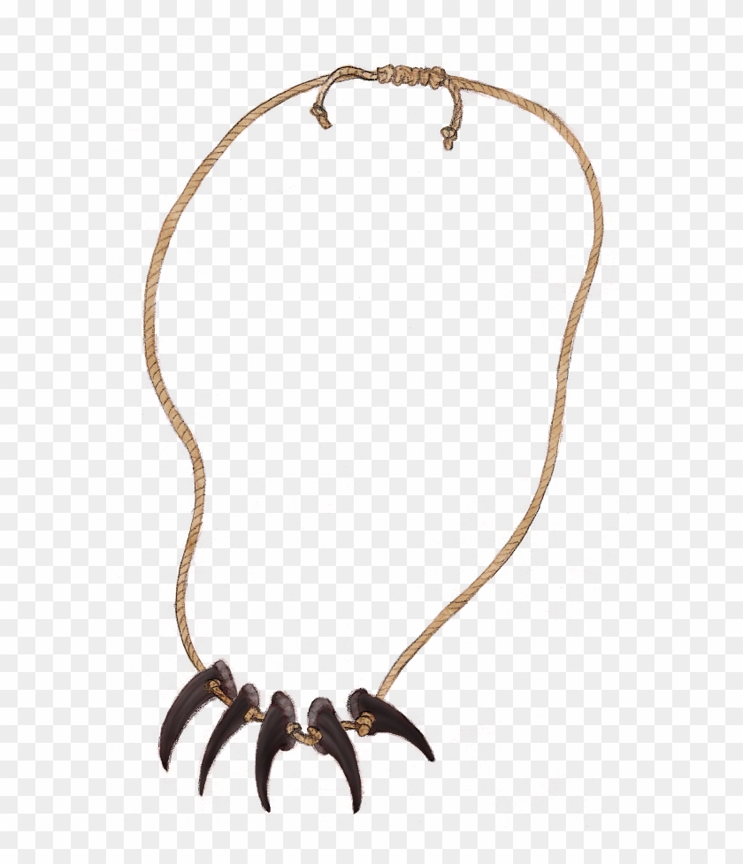 grizzly bear claw necklace