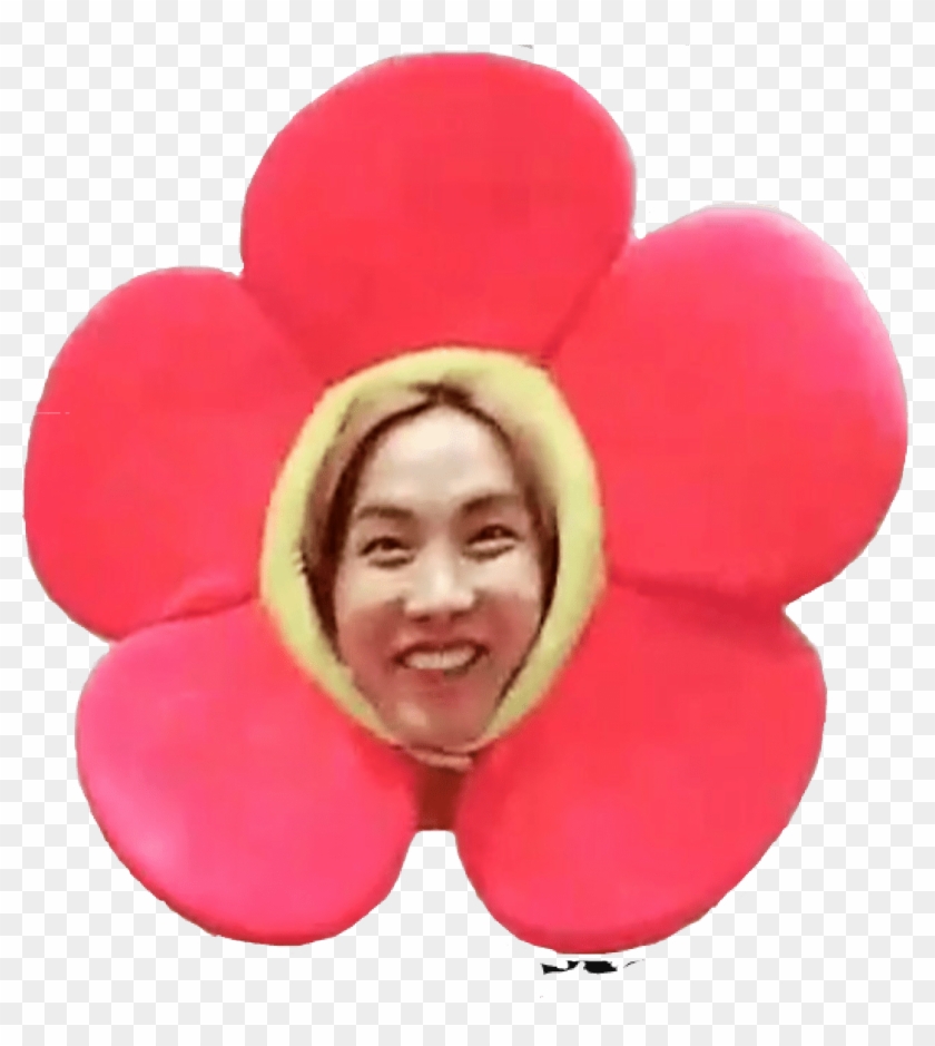 Jhope Flower Bts Jhopebts Jflowers Edit Funny Bts Jhope Flower Png Transparent Png 1073x1149 Pngfind