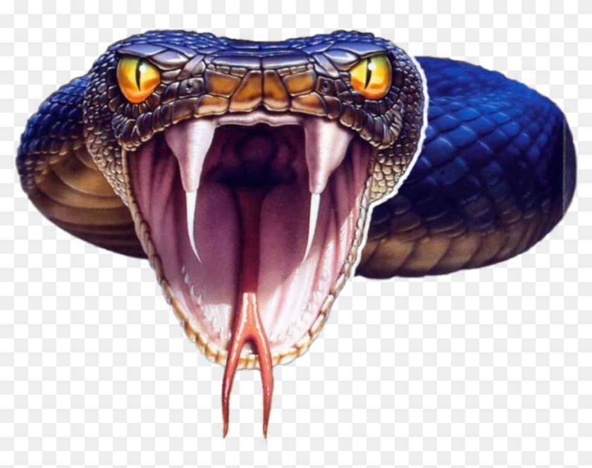 Black Mamba Transparent Background - Black Mamba Snake Png, Png