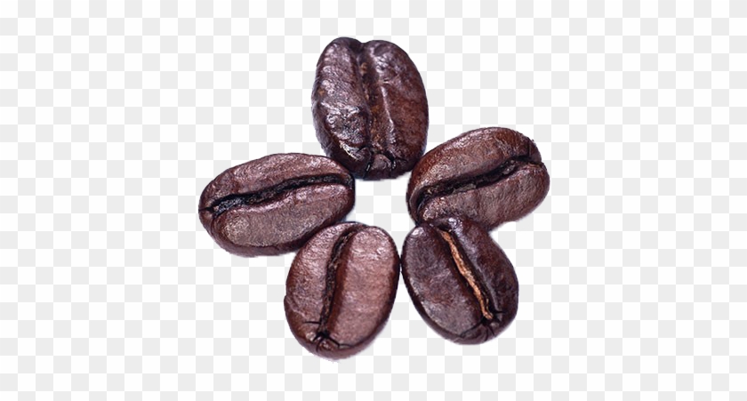 Java Coffee, HD Png Download - 600x600(#166724) - PngFind