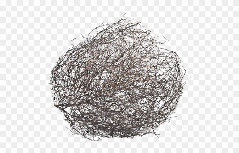 how to draw a tumbleweed