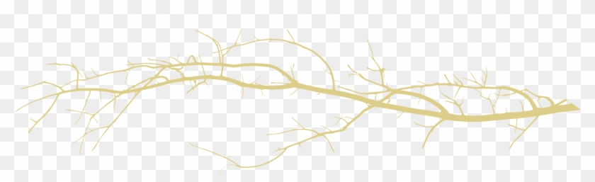 Divider Branch Light 1692 454 Branch Divider Png Transparent Png 1692x454 Pngfind Divider Branch Light 1692 454 Branch Divider Png Transparent Png 1692x454 Pngfind