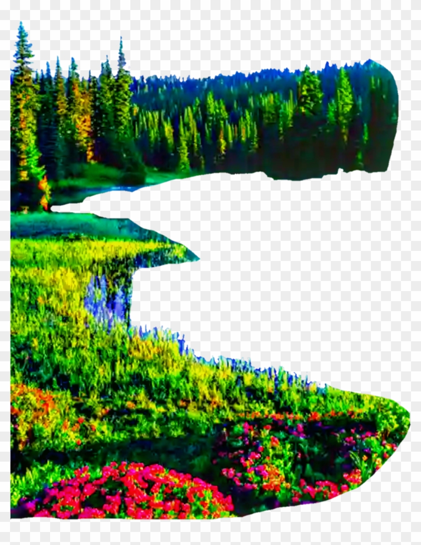 Garden Nature Picsart Background Png, Transparent Png - 1024x1297(#1626585)  - PngFind