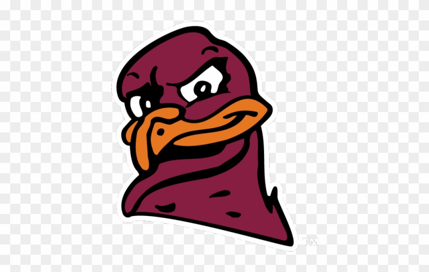 Hokiebird Head On Maroon Background - Hokie Bird Virginia Tech Hokies