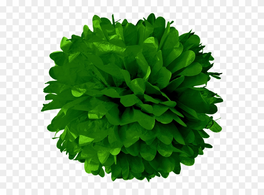 Dark Green Tissue Pom Poms Hd Png Download 581x540 Pngfind Dark Green Tissue Pom Poms Hd Png Download 581x540 Pngfind