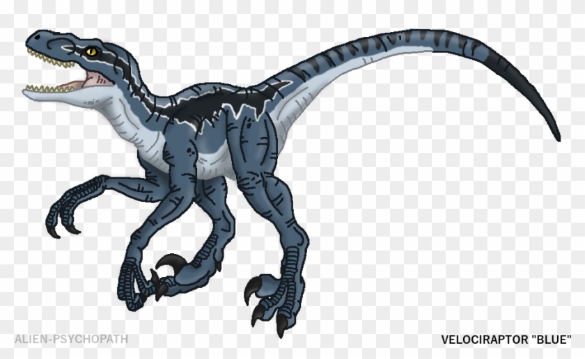 Jurassic Park Clipart Velociraptor Jurassic World Dinosaur Raptor Drawing Hd Png Download 921x540 Pngfind