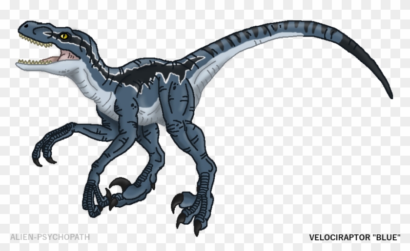 How To Draw Velociraptor Blue Raptor Dinosaur From Jurassic World And Park Easy Step By Step 