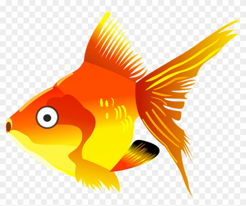 Cartoon Fish Goldfish - Con Cá Hoạt Hình, HD Png Download - 911x720 ...