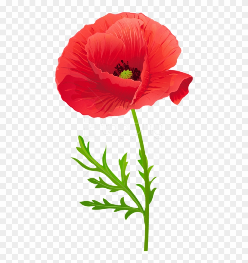 Free Free 159 Poppy Flower Svg Free SVG PNG EPS DXF File