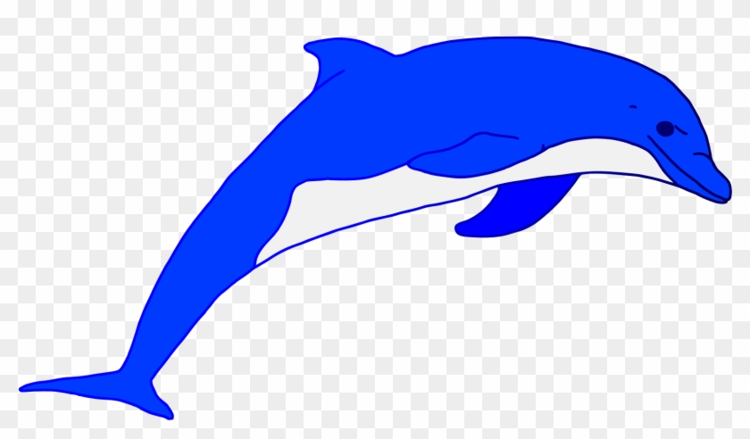 Download Svg Freeuse Blue Jumping Art Rooweb Clipart Dolphins Blue Dolphin Clipart Png Transparent Png 2000x1524 1676517 Pngfind