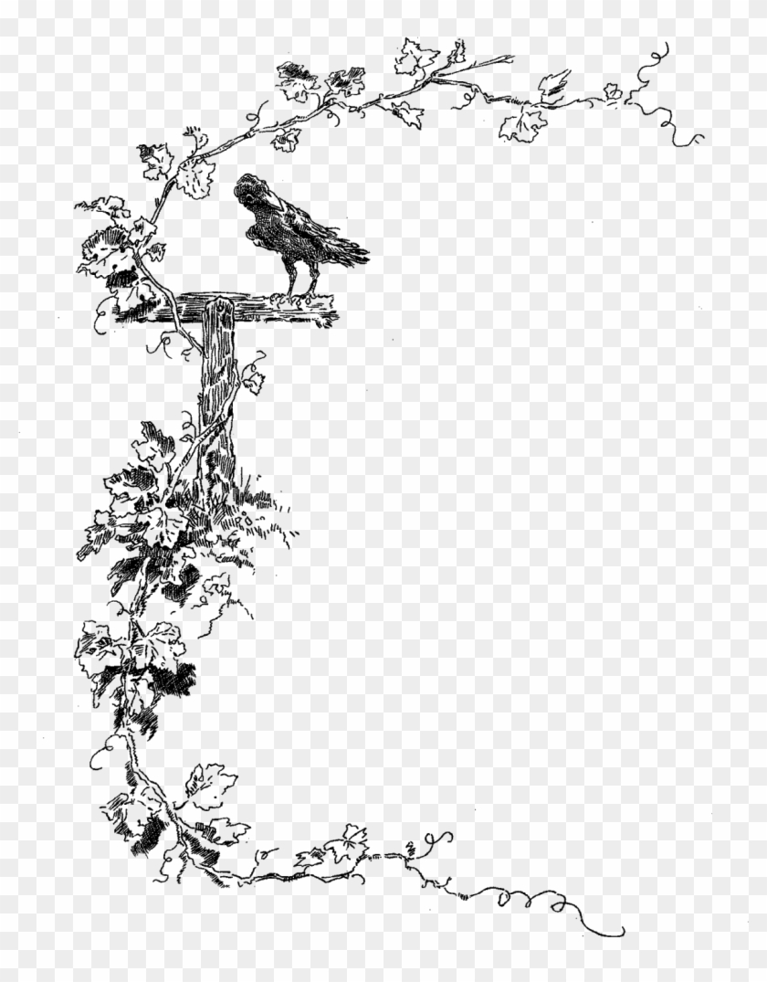 Border Stock Image Botanical Bird Border Design Png Transparent Png