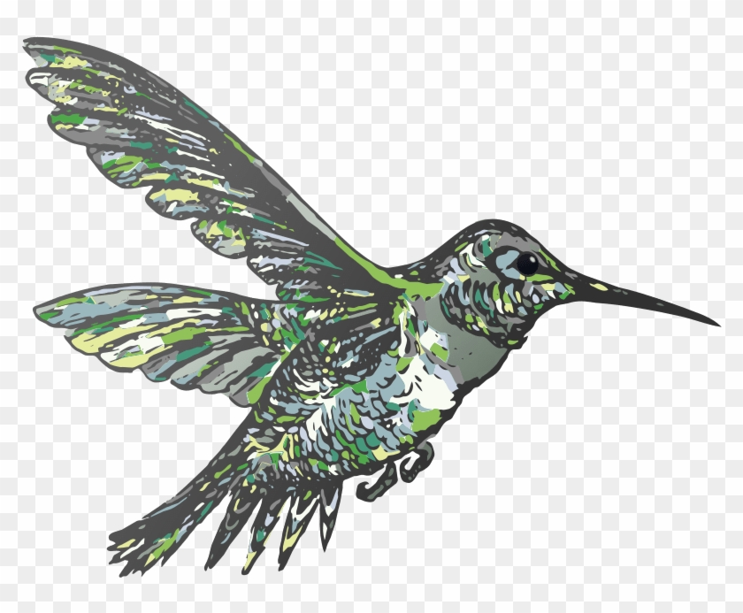 Free Free 131 Hummingbird Svg Free Download SVG PNG EPS DXF File