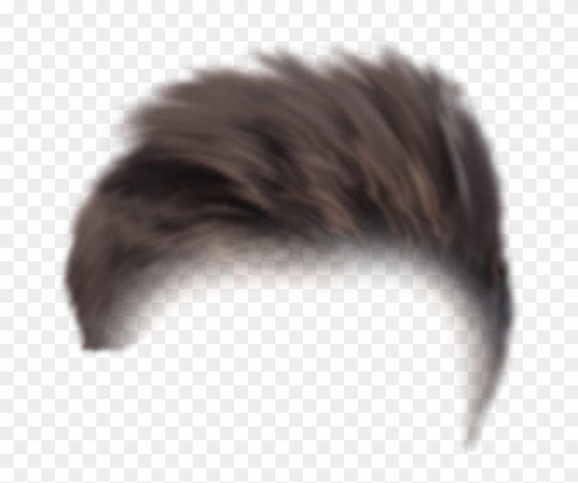 Cb Hair Png Picsart 3d Creative Editing Background - Porcupine, Transparent  Png - 1084x669(#1694976) - PngFind