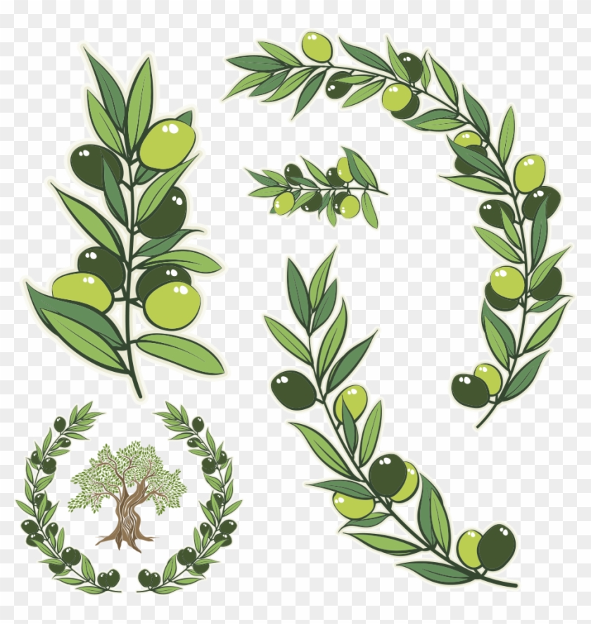 Olive Branch Tattoos What Do They Symbolize Among Tattoo Lovers