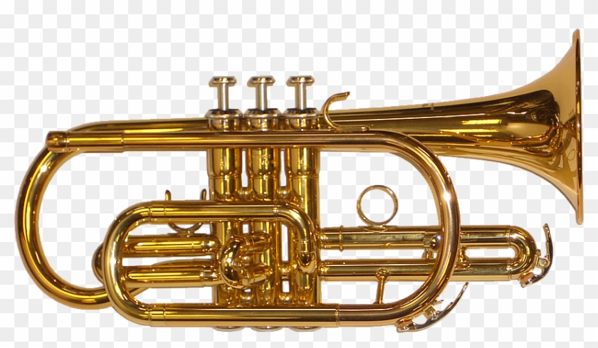 Brass Band Instrument Png PictureBrass Band Instrument Png Picture  