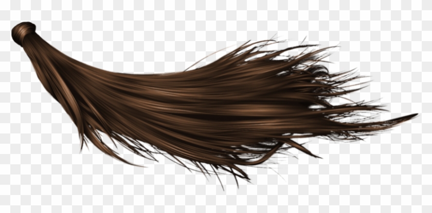 Free Png Hair Png - Long Black Hair Png, Transparent Png - 850x367(#173281)  - PngFind