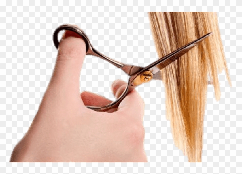 Download Hair Cutting Blond Png Images Background - Scissors Cutting Hair,  Transparent Png - 850x522(#173328) - PngFind