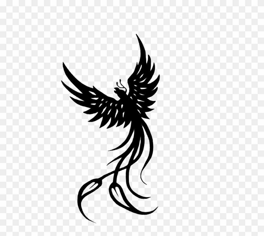 Phoenix Tattoo Vector Images over 6000