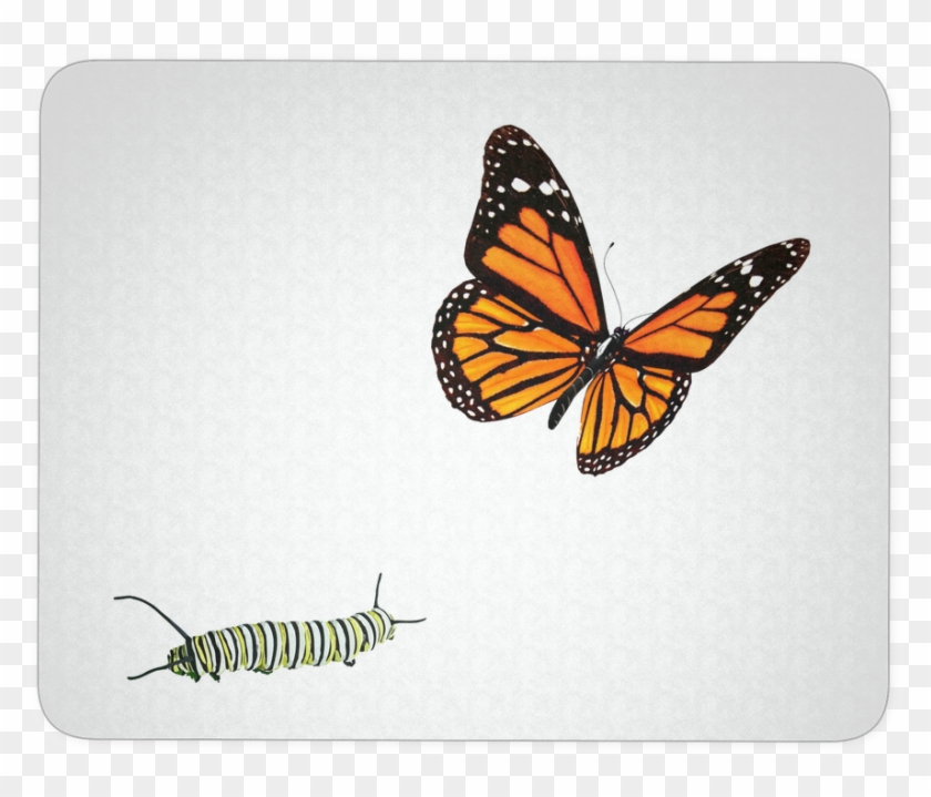 Monarch Butterfly Deco Mousepad - Butterfly Tattoo Designs 3d, HD Png  Download - 1024x1024(#1702803) - PngFind