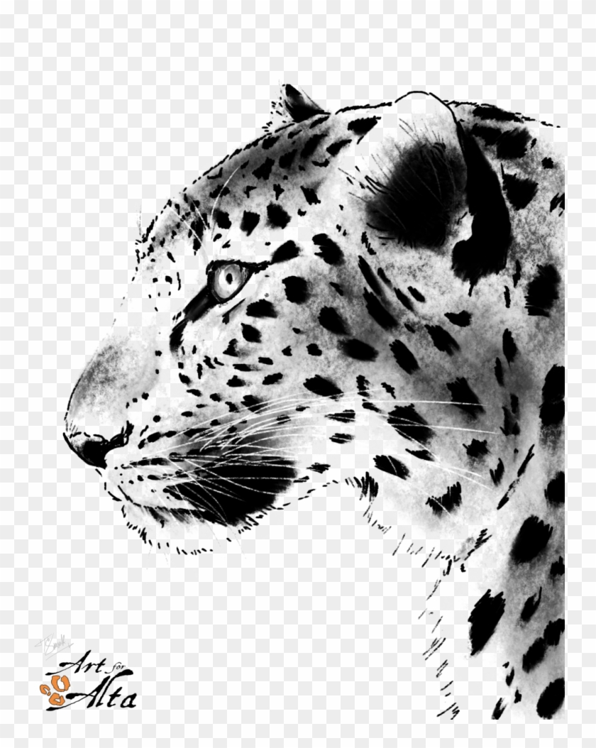 Leopard Face Png Picture Leopard Drawing Black And White Transparent 
