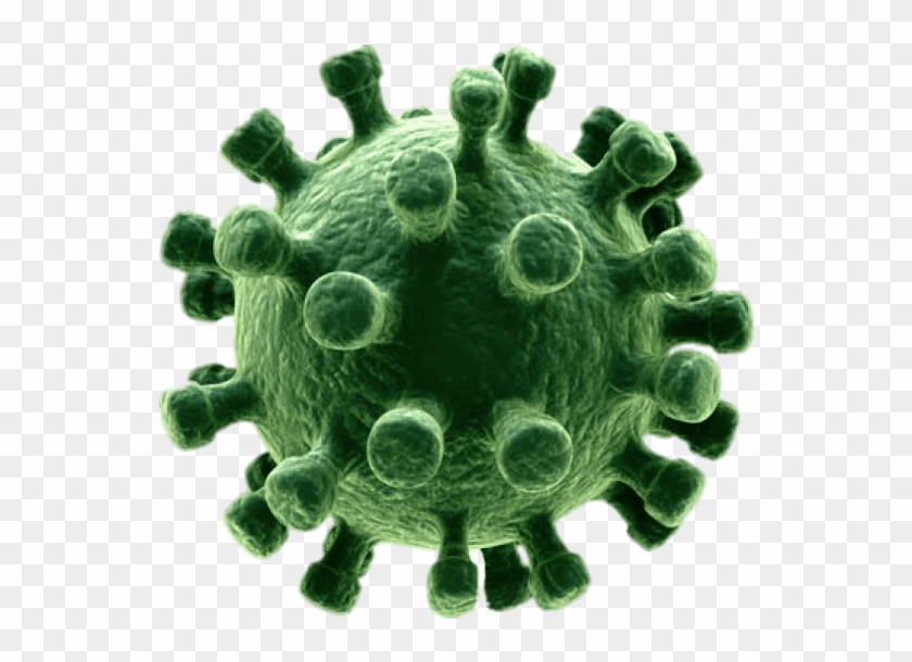 Download - Virus Png, Transparent Png - 907x529(#1713863) - PngFind