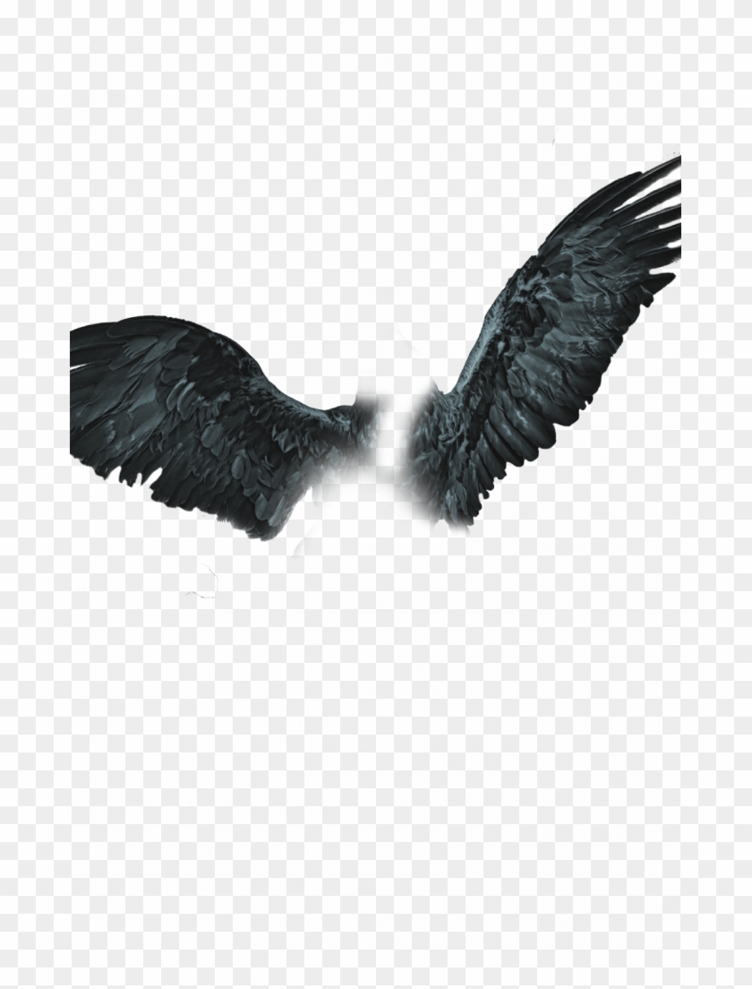 Badland Magic Fly Pngs Wingman Editing Background - Cb Edit Wings Png,  Transparent Png - 683x1024(#1717420) - PngFind