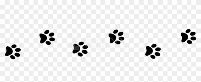 Download Free Png Download Line Of Paw Prints Png Images Background Transparent Paw Print Trail Png Download 850x425 1736988 Pngfind