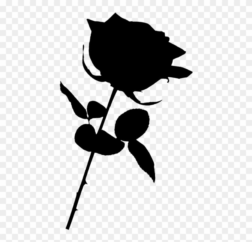 Black Rose Png - Black Rose Transparent Background, Png Download -  446x727(#1742828) - PngFind