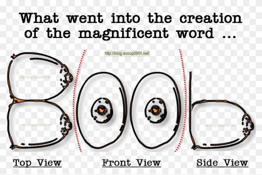What Went Into Creating The Magnificent Word - Creation Of The Word Boob,  HD Png Download - 882x555(#1766924) - PngFind