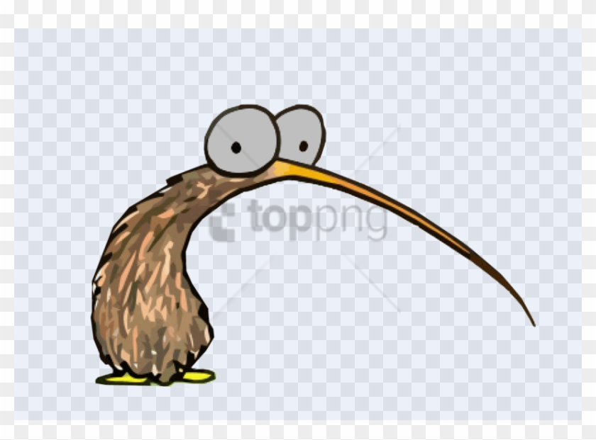 Featured image of post Kiwi Bird Drawing Images You can edit any of drawings via our online image editor before downloading