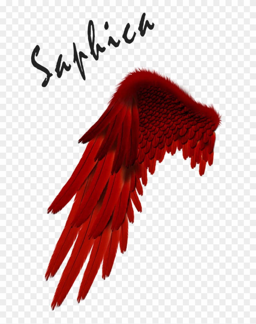 730 X 1095 6 - Red Angel Wings Png, Transparent Png - 730x1095(#1773088