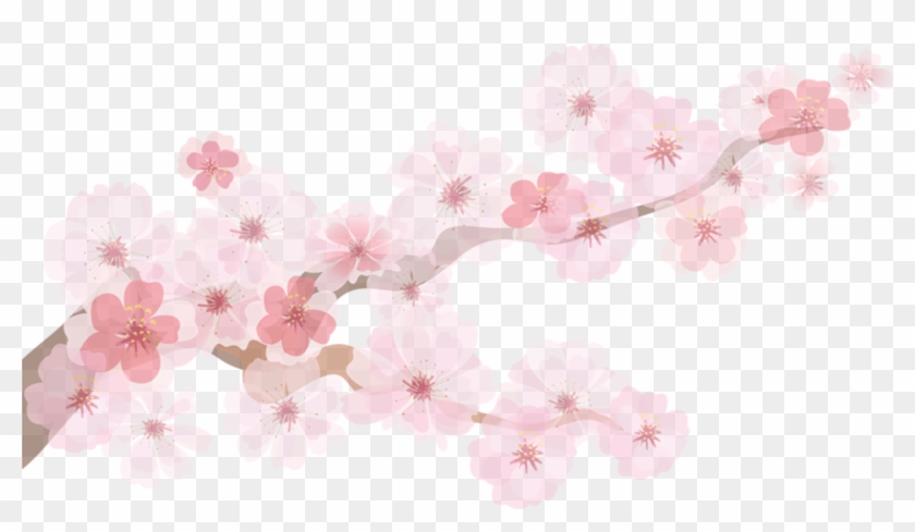 Clip Art Pink Hand Painted Peach Branches - Flores De Durazno Y Cerezo, HD  Png Download - 3896x2156(#1775566) - PngFind