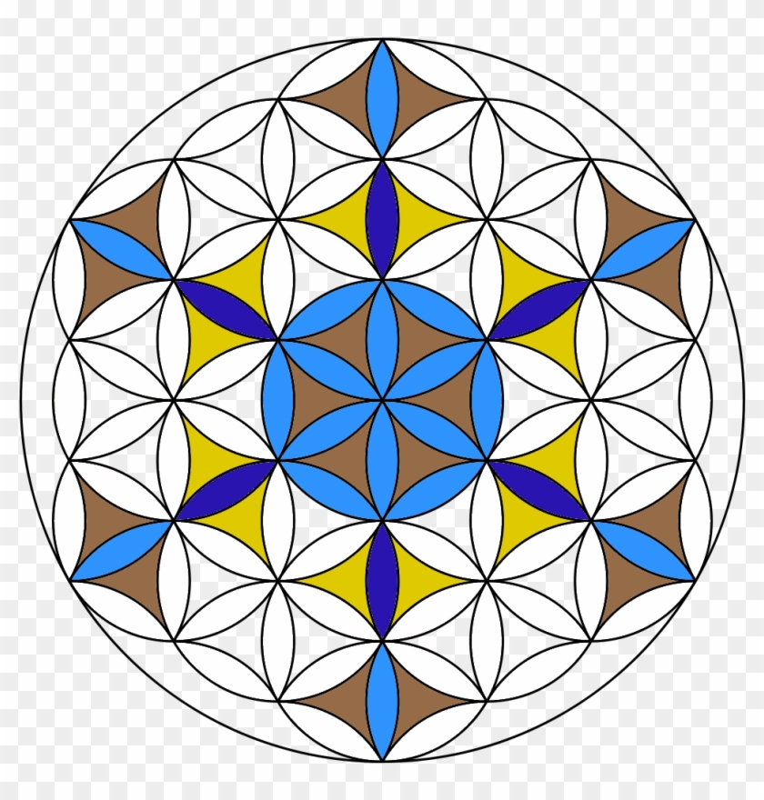 How To Draw The Flower Of Life | Best Flower Site