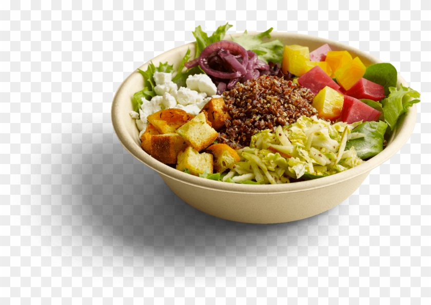 Download Png File Bowl Of Food Png Transparent Png 1528x1121 download-png-file-bowl-of-food-png-transparent-png-1528x1121