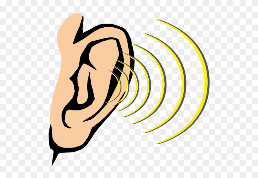 Hearing Sound Sense Human Body - Clipart Sense Of Hearing, HD Png Download  - 842x596(#1782109) - PngFind