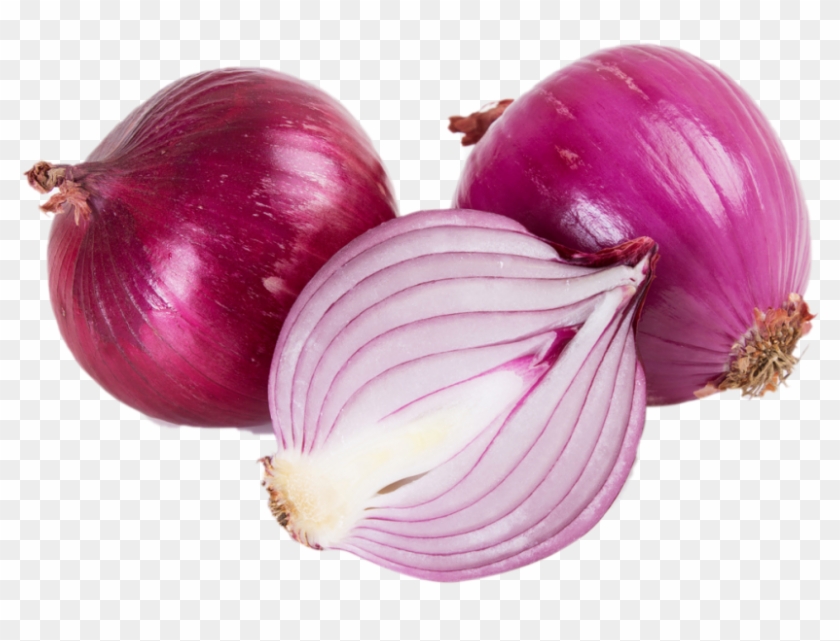 Onion Red Onion, HD Png Download 866x650(1790710) PngFind