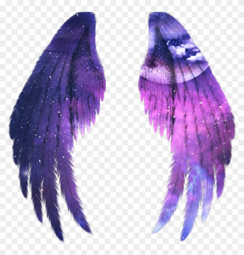 Wings Galaxy Alas Fairy Black Angel Wings Transparent Hd Png